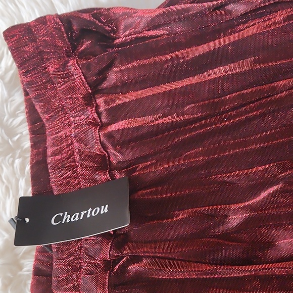 Chartou Women's Metallic Shiny Shimmer Accordion Pleated Maxi Skirt ✨️ NWT - Picture 3 of 7